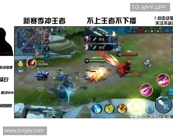 王者荣耀耐力排名新突破WE战队表现惊艳引发热议